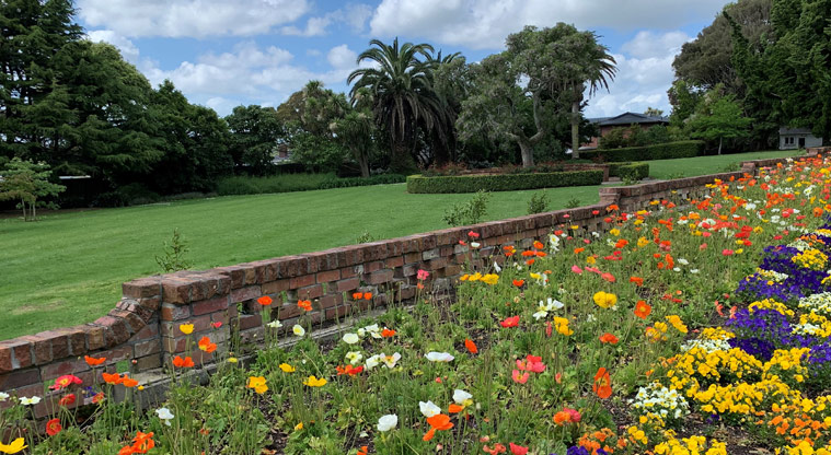 David Nathan Park - Section of the lawn and gardens with large trees in the background.