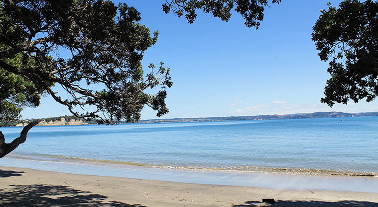 De Luen Avenue Beachfront Reserve - View out to sea from under a tree on Tindalls Beach. Photo credit: M Loubser.