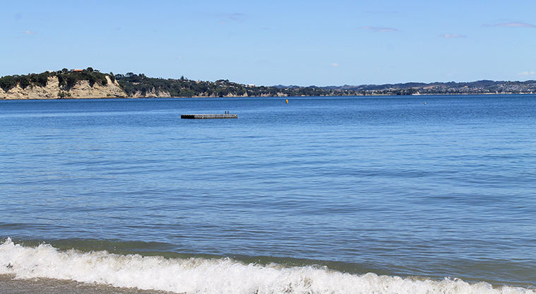 De Luen Avenue Beachfront Reserve - Looking out to sea over Tindalls Beach. Photo credit: M Loubser.