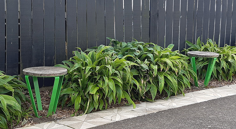 Delphine Close - Small round seats against the fence. Photo credit: S Hulse.