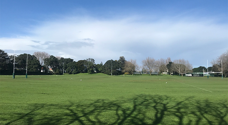 Devonport Domain - Sports field.