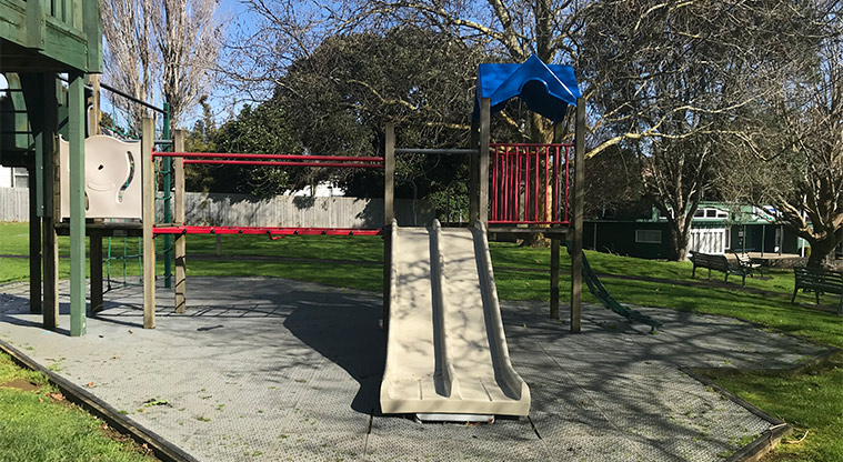 Devonport Domain - Junior slides. and climbing area.