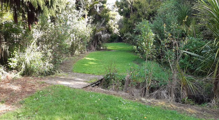 Dingle Dell Reserve - Section of the reserve with established trees and some grassed areas.