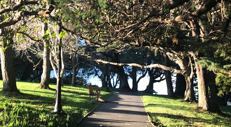 Dove Myer Robinson Park - Section of path under the well established trees and a seat on the edge of the path.