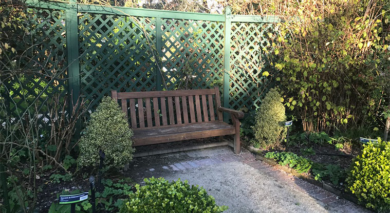 Dove Myer Robinson Park - A bench seat in a section of the garden.