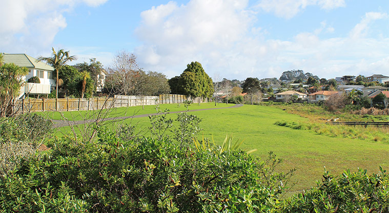 Whenua-roa / D'Oyly Reserve - Section of the walkway with open space and trees. Photo credit: M Loubser.