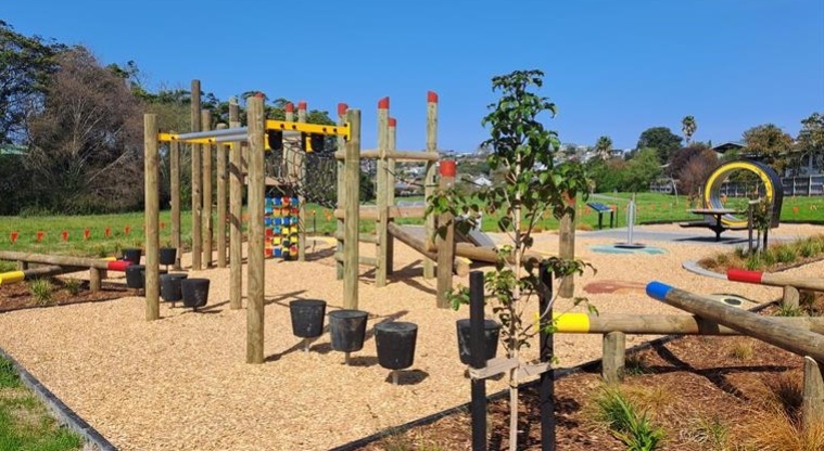 Whenua-roa / D'Oyly Reserve - Playground with balancing and climbing equipment.