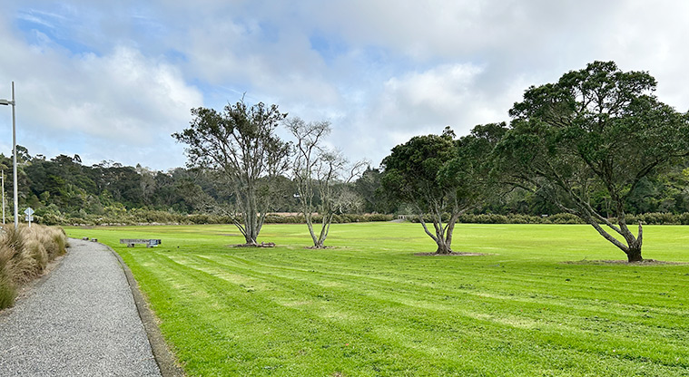 Dudding Park Sportsfield - Section of the sports field with a path down the left and trees. Photo credit: S Hulse.