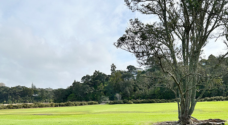 Dudding Park Sportsfield - Section of the sports field lined with trees. Photo credit: S Hulse.