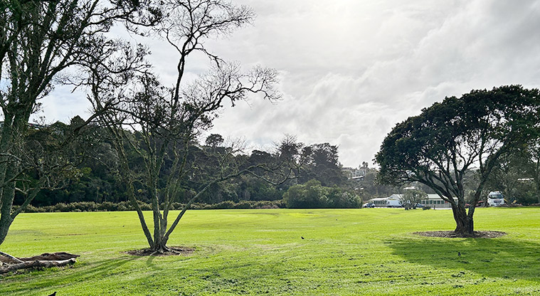 Dudding Park Sportsfield - Section of the sports field lined with trees. Photo credit: S Hulse.