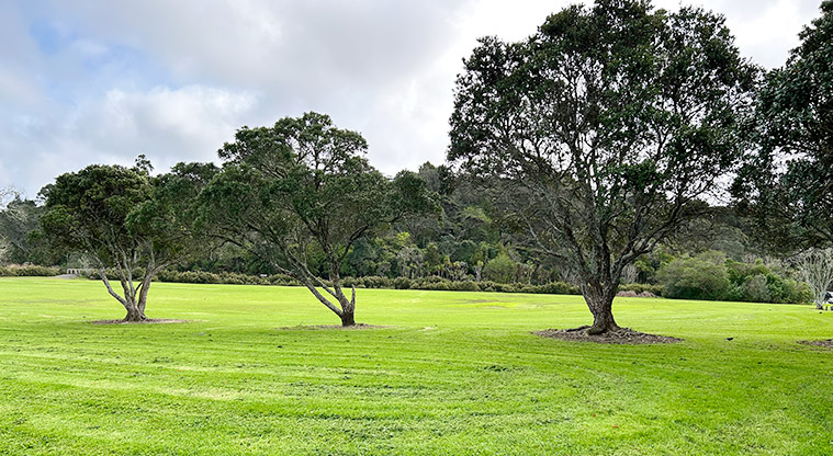 Dudding Park Sportsfield - Section of the sports field lined with trees. Photo credit: S Hulse.