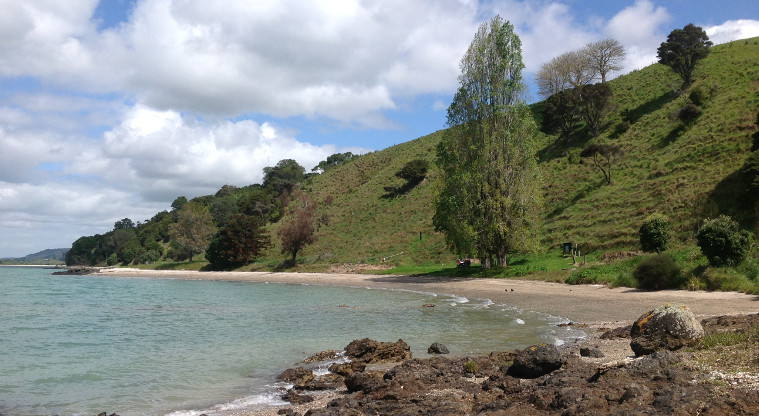 Duder Regional Park - Waipokaia/Duck Bay.