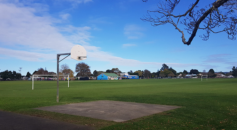 Eastdale Reserve - Basketball half-court by the car park and sports fields.