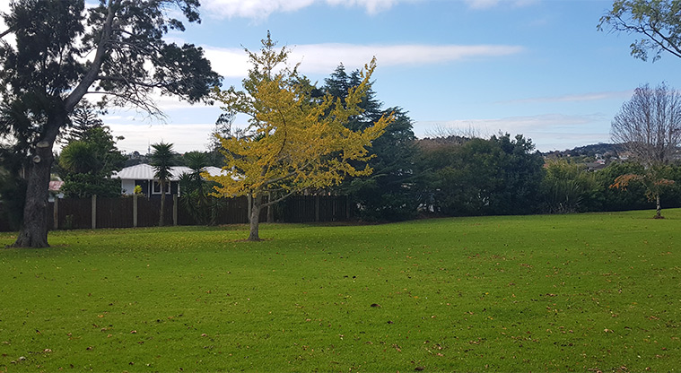 Eastdale Reserve - Open grassy space with trees in the background.