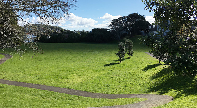 Edendale Reserve - Looking down the slope from the Sandringham Road entrance to the path and sports field below. Photo credit: S Hulse.