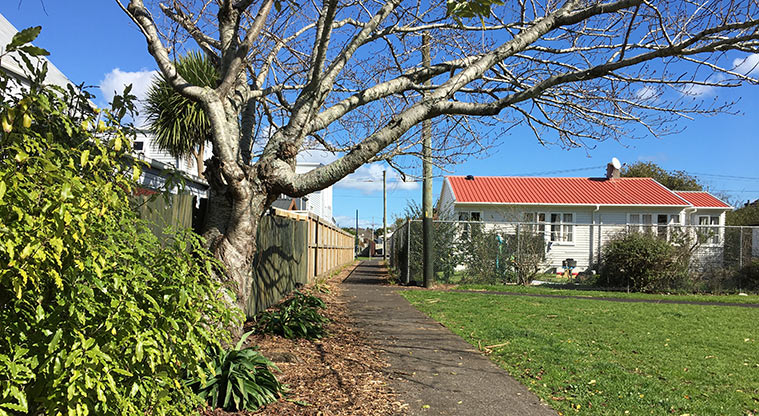 Edendale Reserve - The walkway out to Shorewell Street. Photo credit: S Hulse.