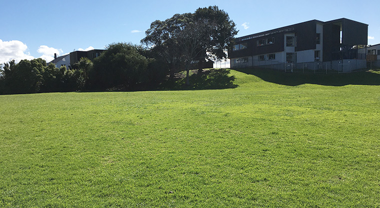 Edendale Reserve - Sports field with trees and buildings in the background. Photo credit: S Hulse.