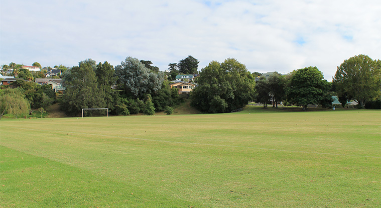 Edith Hopper Park - Section of the soccer fields with trees along the back border. Photo credit: M Loubser.