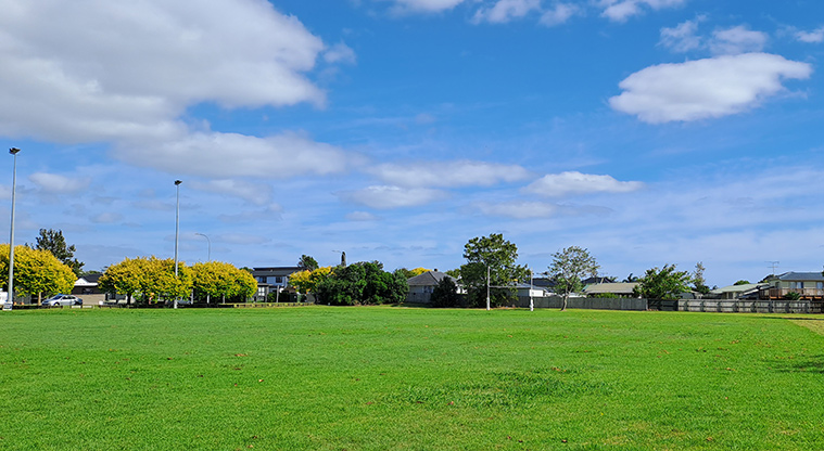 Elm Park - Sports fields and trees. Photo credit: S Hulse.