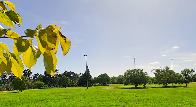 Elm Park - Sports fields and trees. Photo credit: S Hulse.