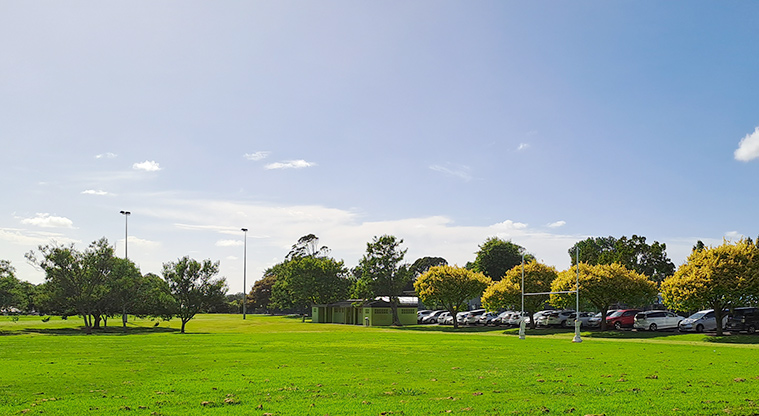 Elm Park - Sports fields and trees. Photo credit: S Hulse.