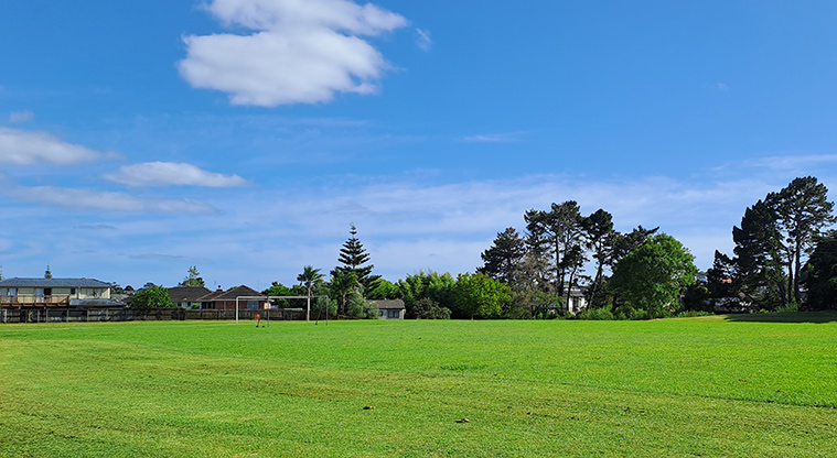 Elm Park - Sports fields and trees. Photo credit: S Hulse.