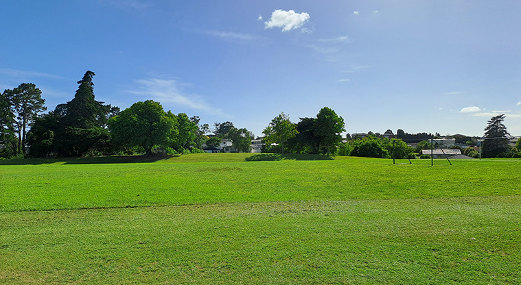 Elm Park - Sports fields and trees. Photo credit: S Hulse.