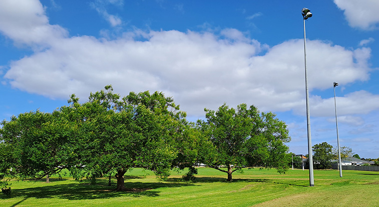 Elm Park - Flood lights around the edge of the sports fields. Photo credit: S Hulse.