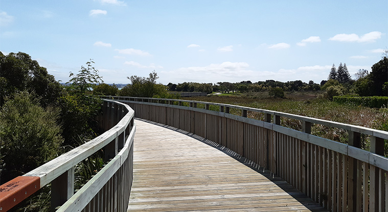 Eric Armishaw Park – Section of the boardwalk that links the park with Great North Road.
