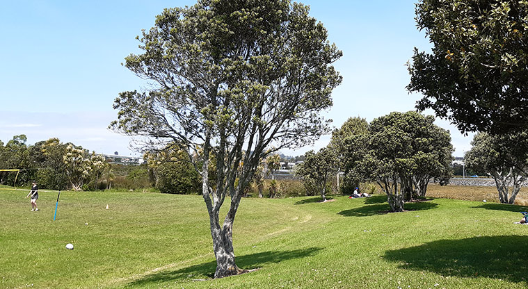 Eric Armishaw Park – Open grassed area with trees around the perimeter.