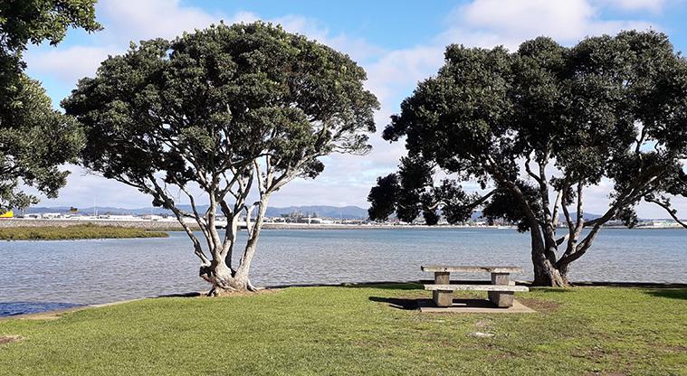 Eric Armishaw Park – Picnic area and view of the Waitematā Harbour.