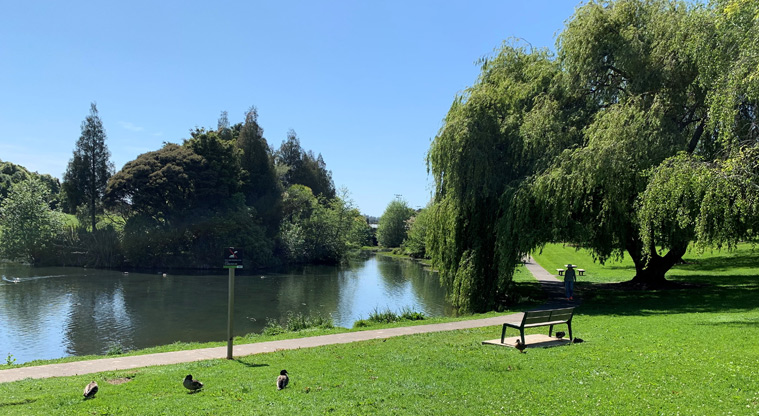 Ernies Reserve - Park bench overlooking the pond with open space and established trees in the background.