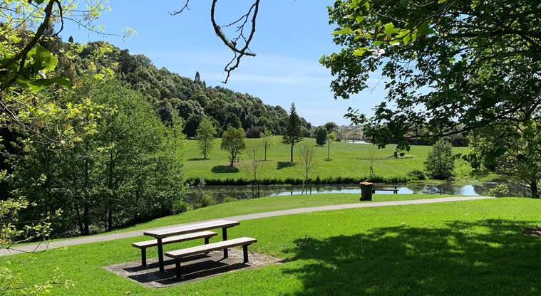 Ernies Reserve - Picnic table by the path with a section of the pond, open grassed space and trees in the background.