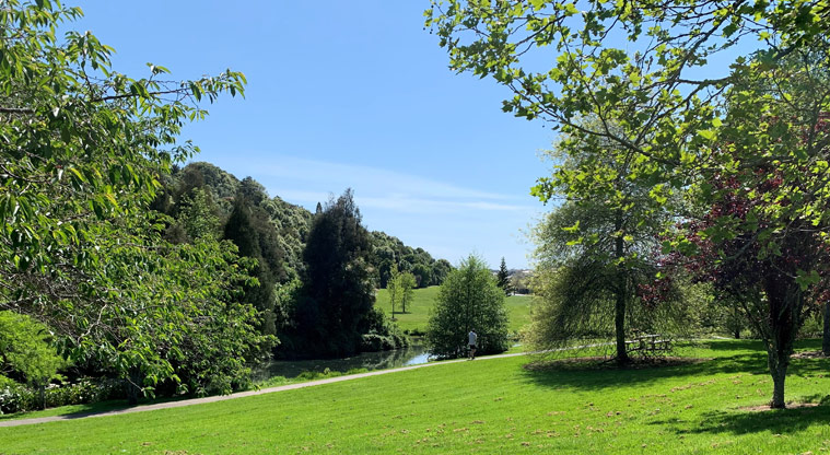 Ernies Reserve - Open grassed space with large trees and a path running through the middle.