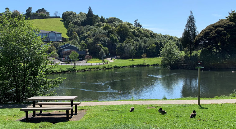 Ernies Reserve - Large section of the pond with a picnic table and ducks in the foreground.