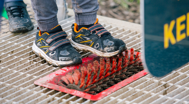Eskdale Reserve - Roller brush for cleaning boots before entering, and on leaving the tracks.