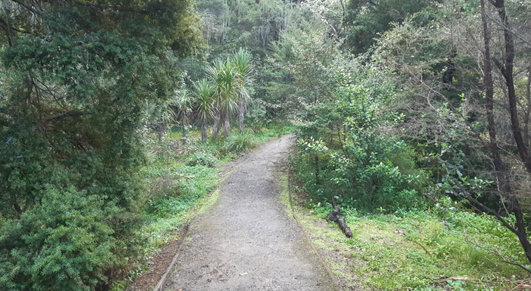 Eskdale Reserve - Section of gravel path through the bush.