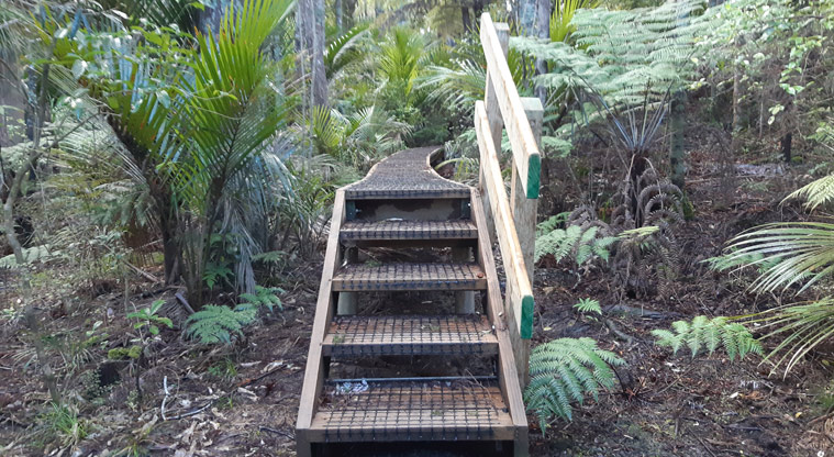 Eskdale Reserve -Set of stairs at one section of the raised boardwalk.