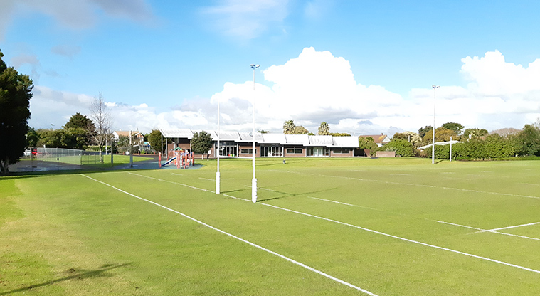 Fergusson Domain - Sports fields with the playground, courts and building in the background.