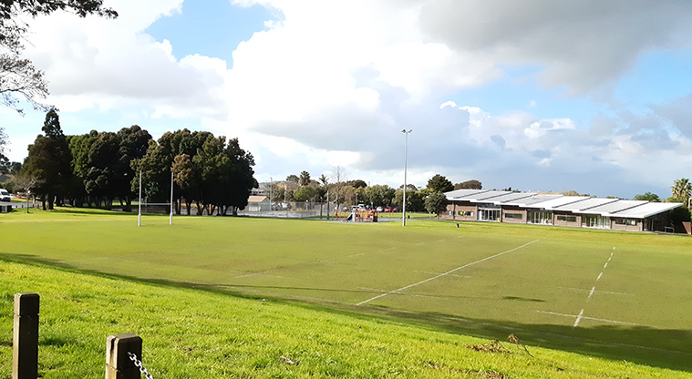 Fergusson Domain - Sports fields with goal posts and lighting, and buildings and trees in the background.