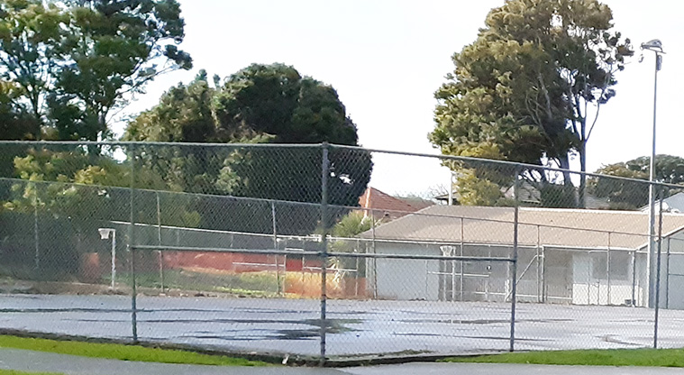Fergusson Domain - The combined netball and tennis courts with fencing around them.