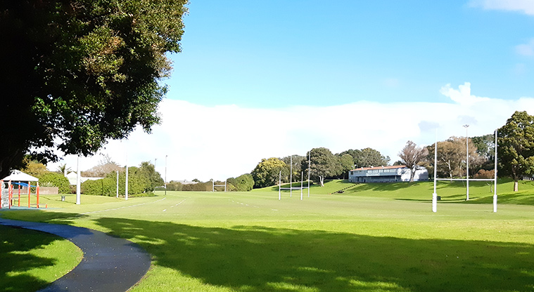 Fergusson Domain - Sports fields with a path running along the left hand side.