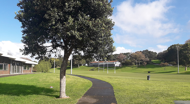 Fergusson Domain - A tree with the path running between it and the sports fields on the right.