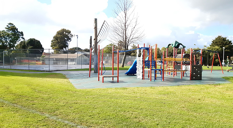 Fergusson Domain - Open grassed space with the playground and combined courts in the background.