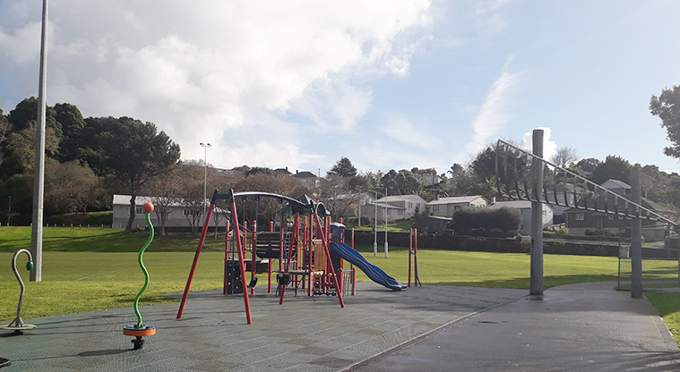 Fergusson Domain - Playground with spinning toys, platforms, slides, climbing wall and more.