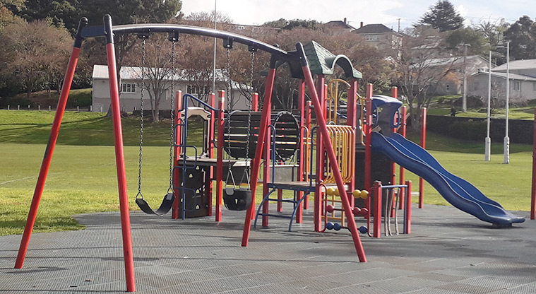 Fergusson Domain - Set of two swings with the rest of the playground in the background.