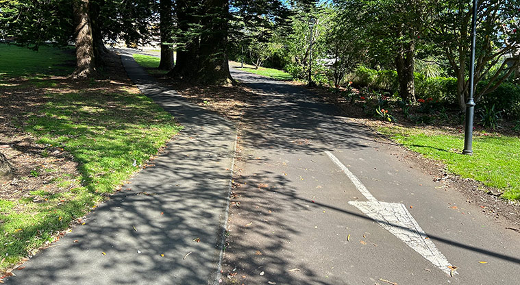 Ferndale Park - Section of the driveway exiting on to New North Road. Photo credit: S Hulse.