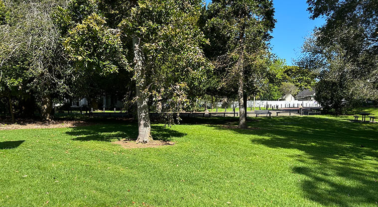 Ferndale Park - Section of open grassed space and trees. Photo credit: S Hulse.