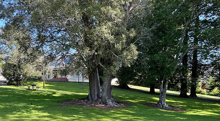 Ferndale Park - Section of the park grounds with Ferndale House in the background. Photo credit: S Hulse.
