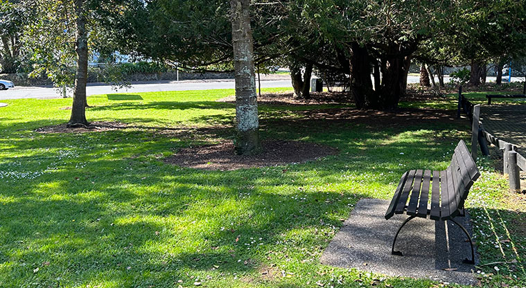 Ferndale Park - One of the seats with grassed space and trees in the background. Photo credit: S Hulse.